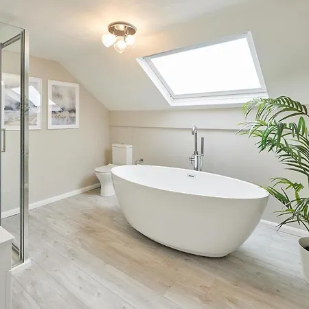 Host & - Ebb Tide Γουίτμπι